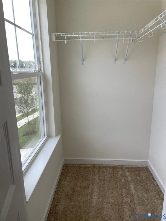 10823 Farmstead Mill Drive, Henrico, VA 23059 Walk in closet featuring carpet