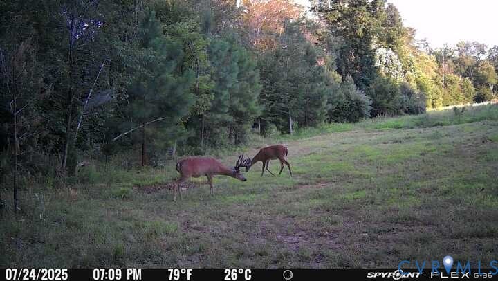 00 Courthouse Road, Louisa, VA 23093