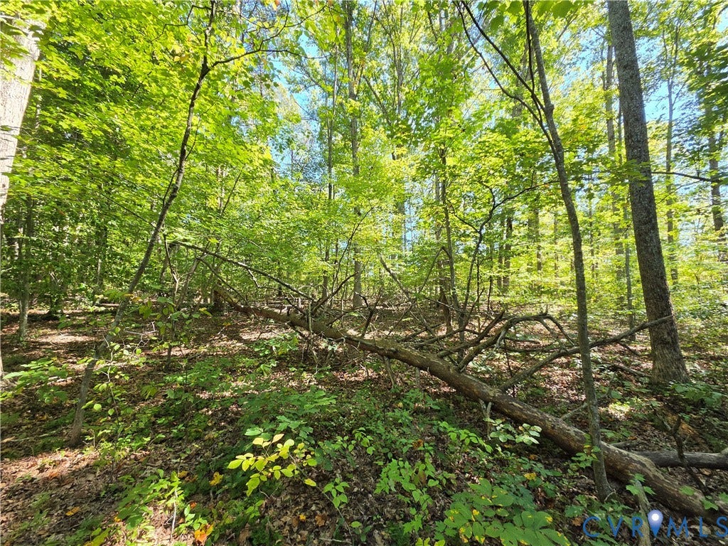 7.433Ac Penlan Road, Arvonia Area, Arvonia, VA 23004 7.433Ac Penlan Road, Arvonia Area, Arvonia, VA 23004