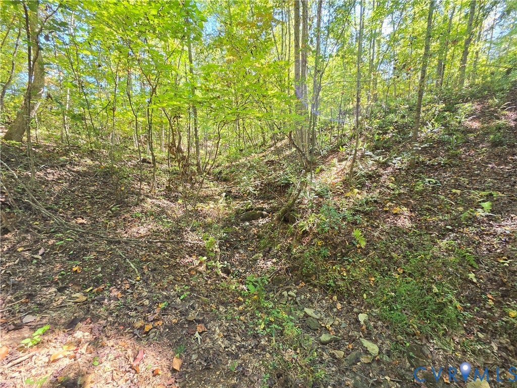 7.433Ac Penlan Road, Arvonia Area, Arvonia, VA 23004 7.433Ac Penlan Road, Arvonia Area, Arvonia, VA 23004