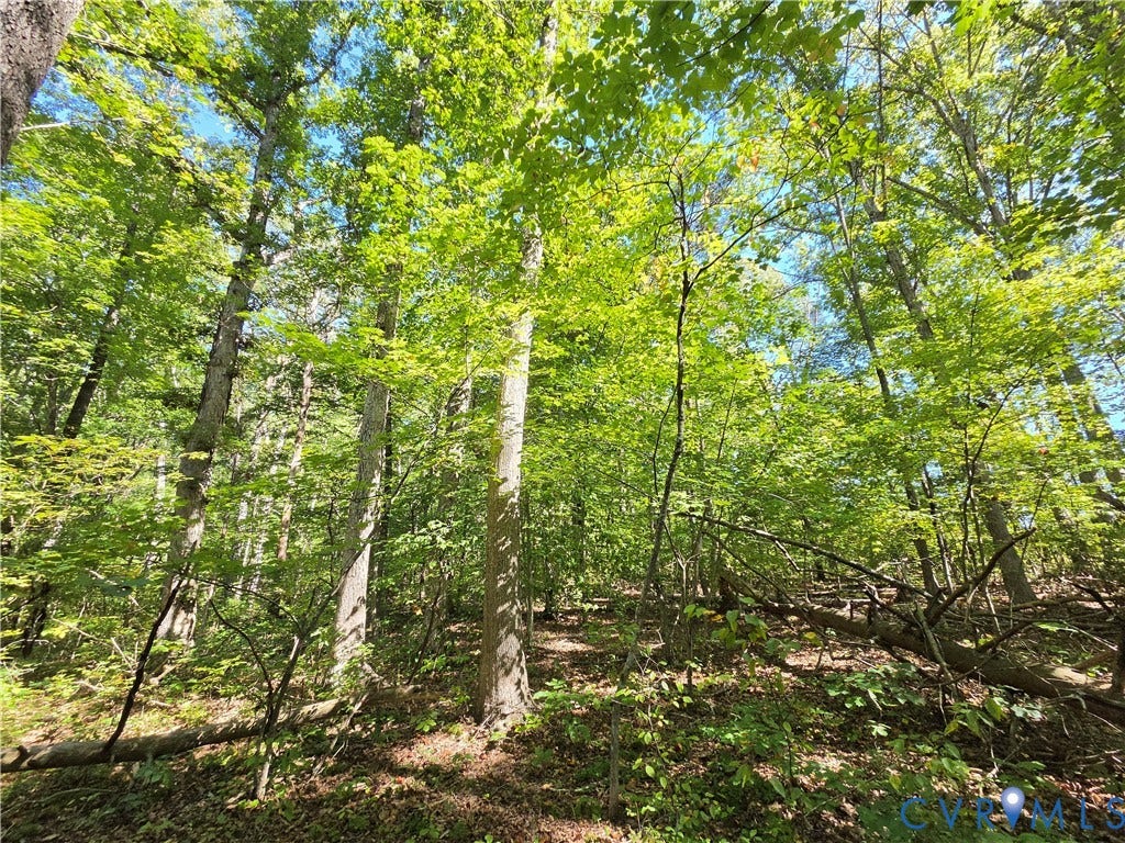 7.433Ac Penlan Road, Arvonia Area, Arvonia, VA 23004 7.433Ac Penlan Road, Arvonia Area, Arvonia, VA 23004