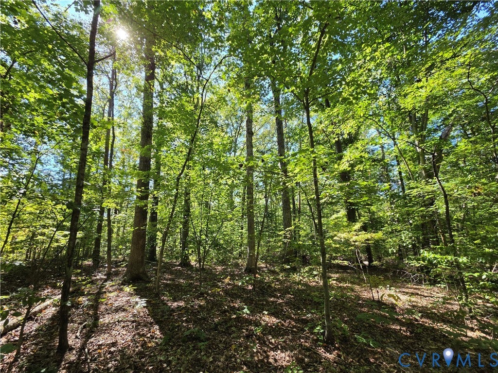 7.433Ac Penlan Road, Arvonia Area, Arvonia, VA 23004 7.433Ac Penlan Road, Arvonia Area, Arvonia, VA 23004