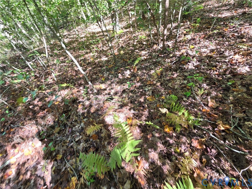 7.433Ac Penlan Road, Arvonia Area, Arvonia, VA 23004 7.433Ac Penlan Road, Arvonia Area, Arvonia, VA 23004