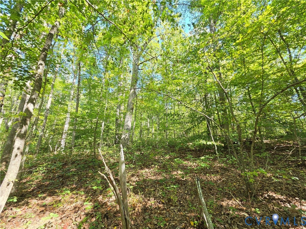 7.433Ac Penlan Road, Arvonia Area, Arvonia, VA 23004 7.433Ac Penlan Road, Arvonia Area, Arvonia, VA 23004