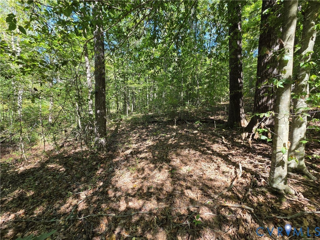 7.433Ac Penlan Road, Arvonia Area, Arvonia, VA 23004 7.433Ac Penlan Road, Arvonia Area, Arvonia, VA 23004
