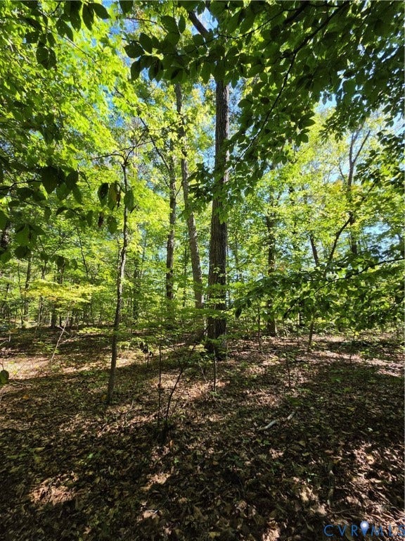7.433Ac Penlan Road, Arvonia Area, Arvonia, VA 23004 7.433Ac Penlan Road, Arvonia Area, Arvonia, VA 23004