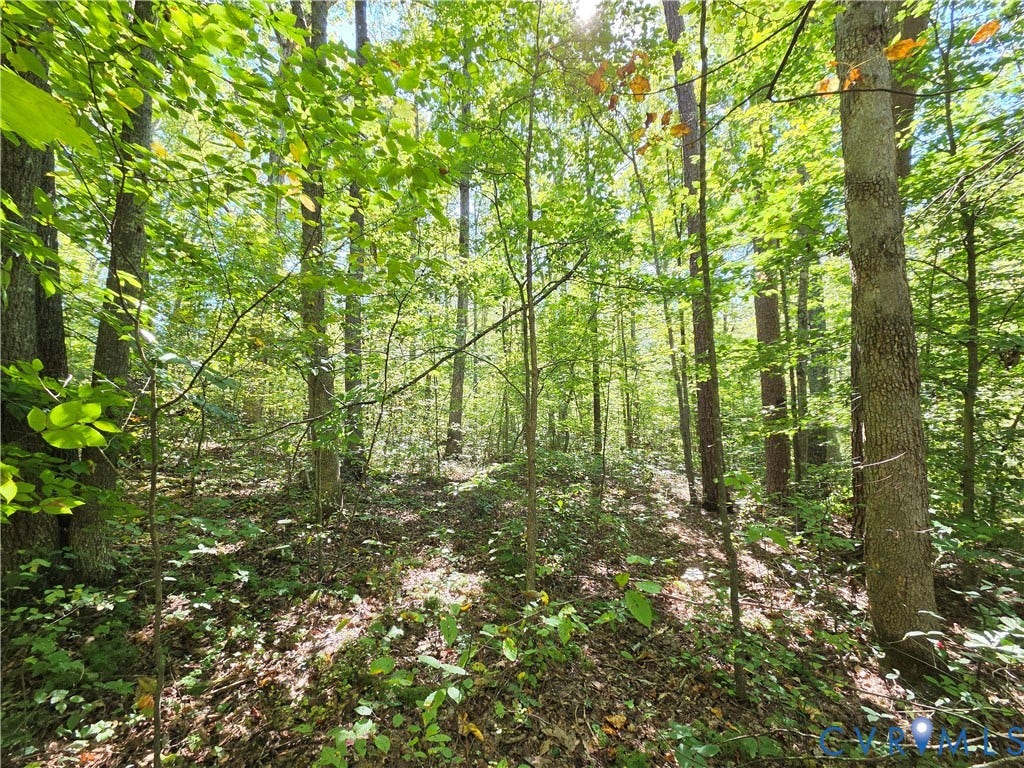7.433Ac Penlan Road, Arvonia Area, Arvonia, VA 23004 7.433Ac Penlan Road, Arvonia Area, Arvonia, VA 23004