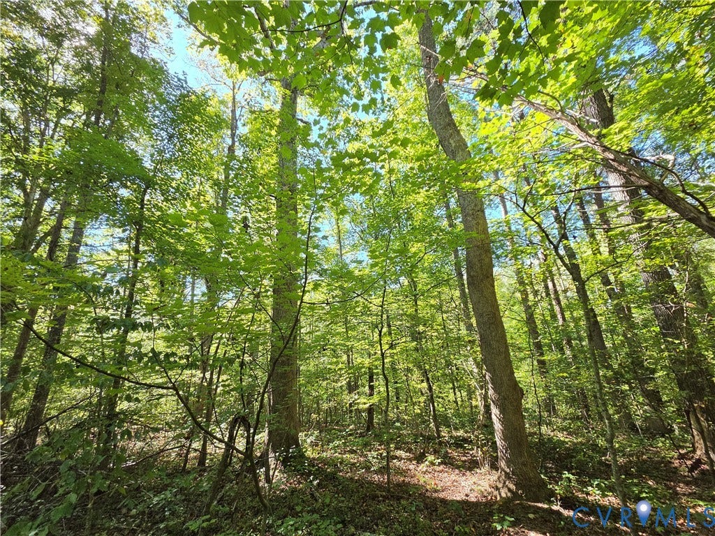 7.433Ac Penlan Road, Arvonia Area, Arvonia, VA 23004 7.433Ac Penlan Road, Arvonia Area, Arvonia, VA 23004