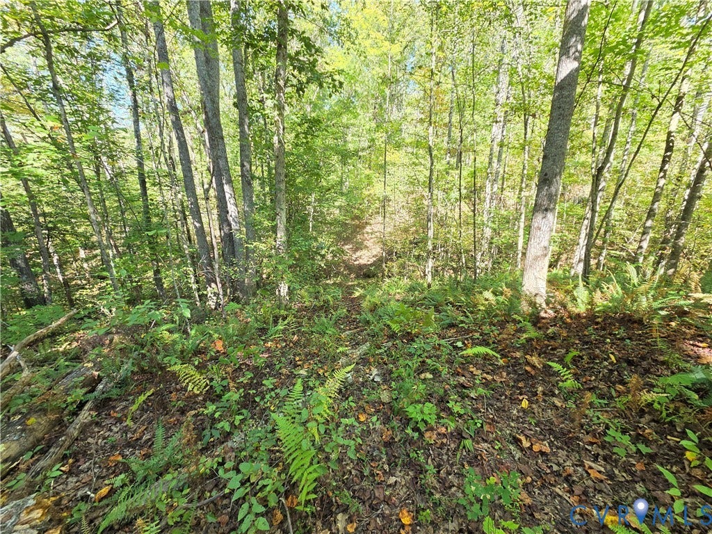 7.433Ac Penlan Road, Arvonia Area, Arvonia, VA 23004 7.433Ac Penlan Road, Arvonia Area, Arvonia, VA 23004