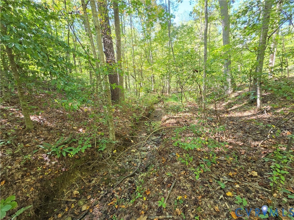 7.433Ac Penlan Road, Arvonia Area, Arvonia, VA 23004 7.433Ac Penlan Road, Arvonia Area, Arvonia, VA 23004