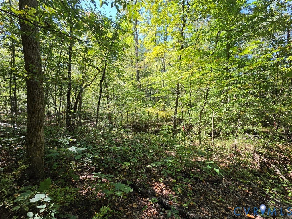 7.433Ac Penlan Road, Arvonia Area, Arvonia, VA 23004 7.433Ac Penlan Road, Arvonia Area, Arvonia, VA 23004