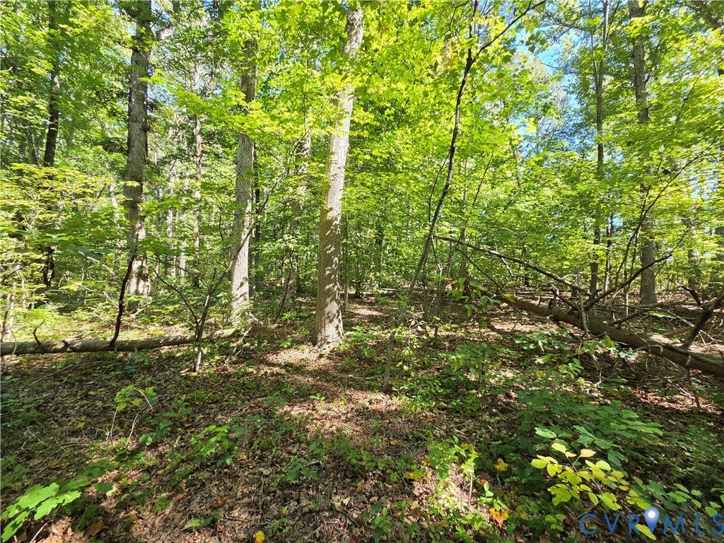 7.433Ac Penlan Road, Arvonia Area, Arvonia, VA 23004 7.433Ac Penlan Road, Arvonia Area, Arvonia, VA 23004