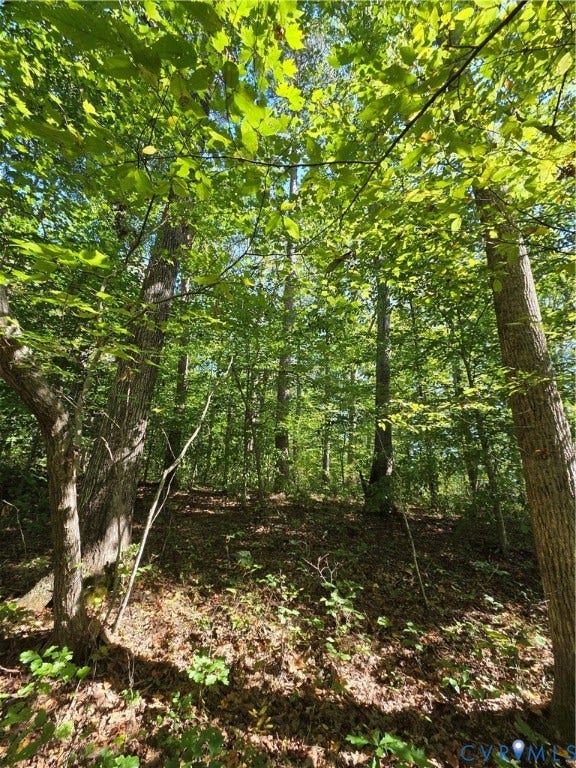 7.433Ac Penlan Road, Arvonia Area, Arvonia, VA 23004 7.433Ac Penlan Road, Arvonia Area, Arvonia, VA 23004