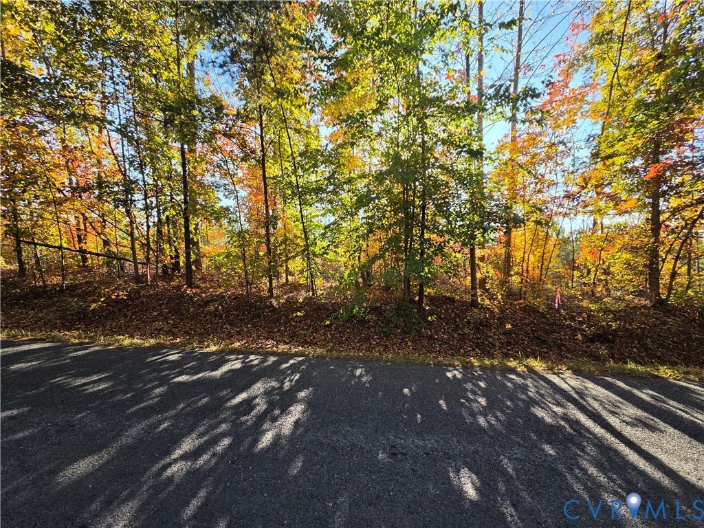 4.05Ac Penlan Road, Arvonia, Arvonia, VA 23004 4.05Ac Penlan Road, Arvonia, Arvonia, VA 23004
