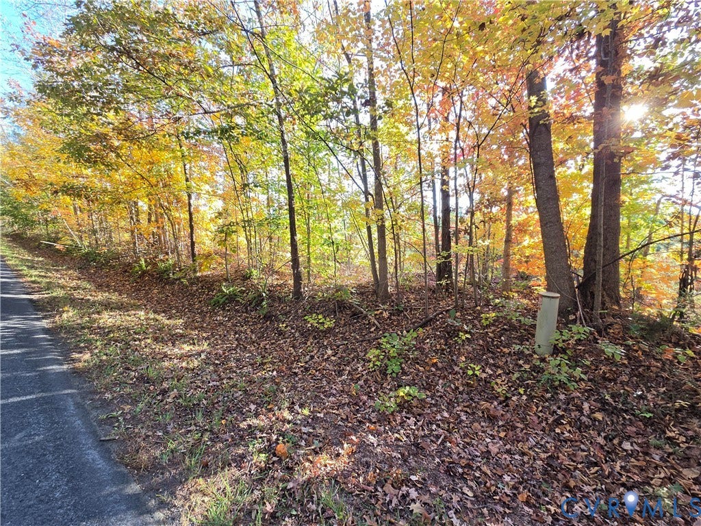 4.05Ac Penlan Road, Arvonia, Arvonia, VA 23004 4.05Ac Penlan Road, Arvonia, Arvonia, VA 23004