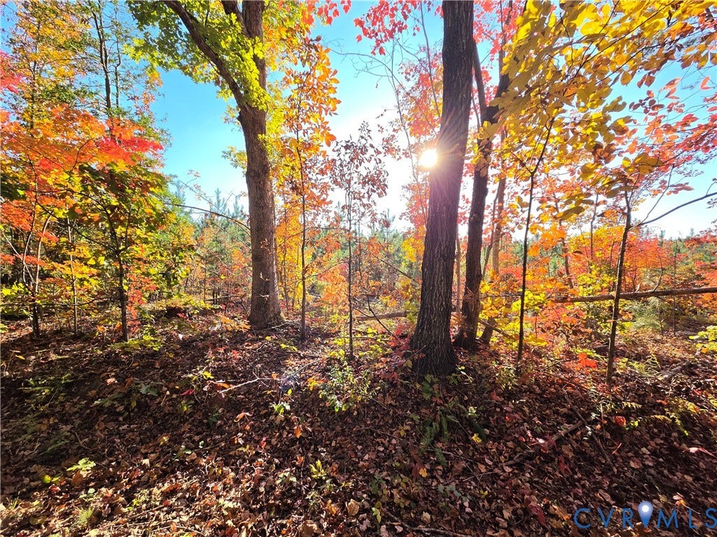 4.05Ac Penlan Road, Arvonia, Arvonia, VA 23004 4.05Ac Penlan Road, Arvonia, Arvonia, VA 23004