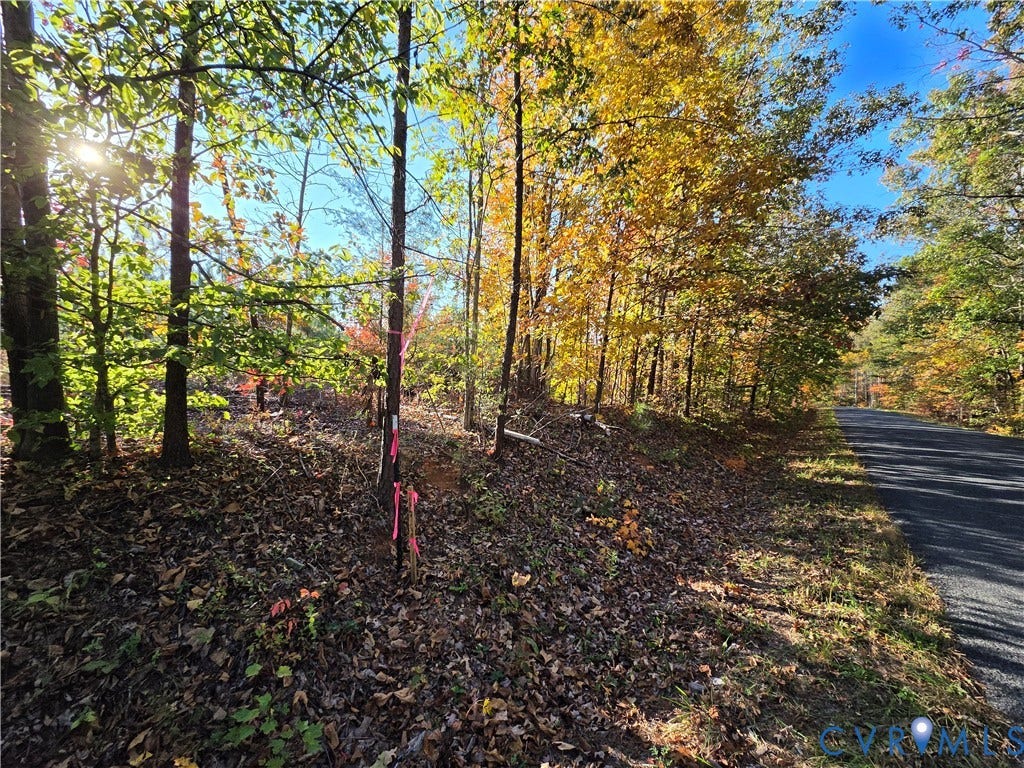 4.05Ac Penlan Road, Arvonia, Arvonia, VA 23004 4.05Ac Penlan Road, Arvonia, Arvonia, VA 23004