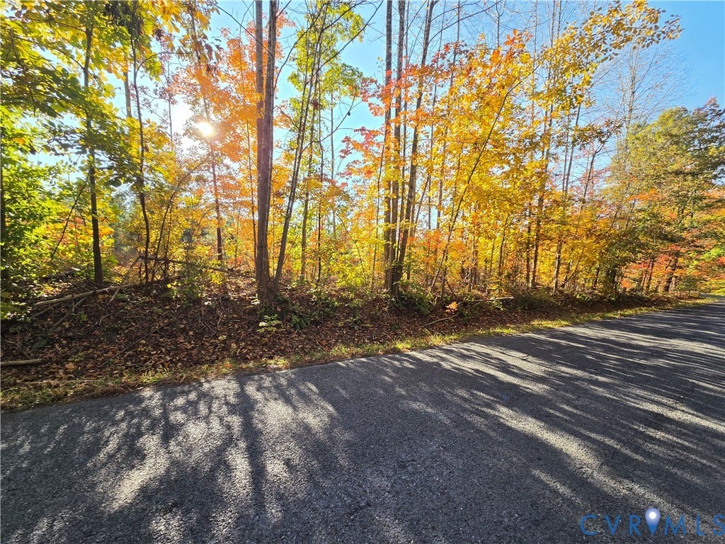 4.05Ac Penlan Road, Arvonia, Arvonia, VA 23004 4.05Ac Penlan Road, Arvonia, Arvonia, VA 23004