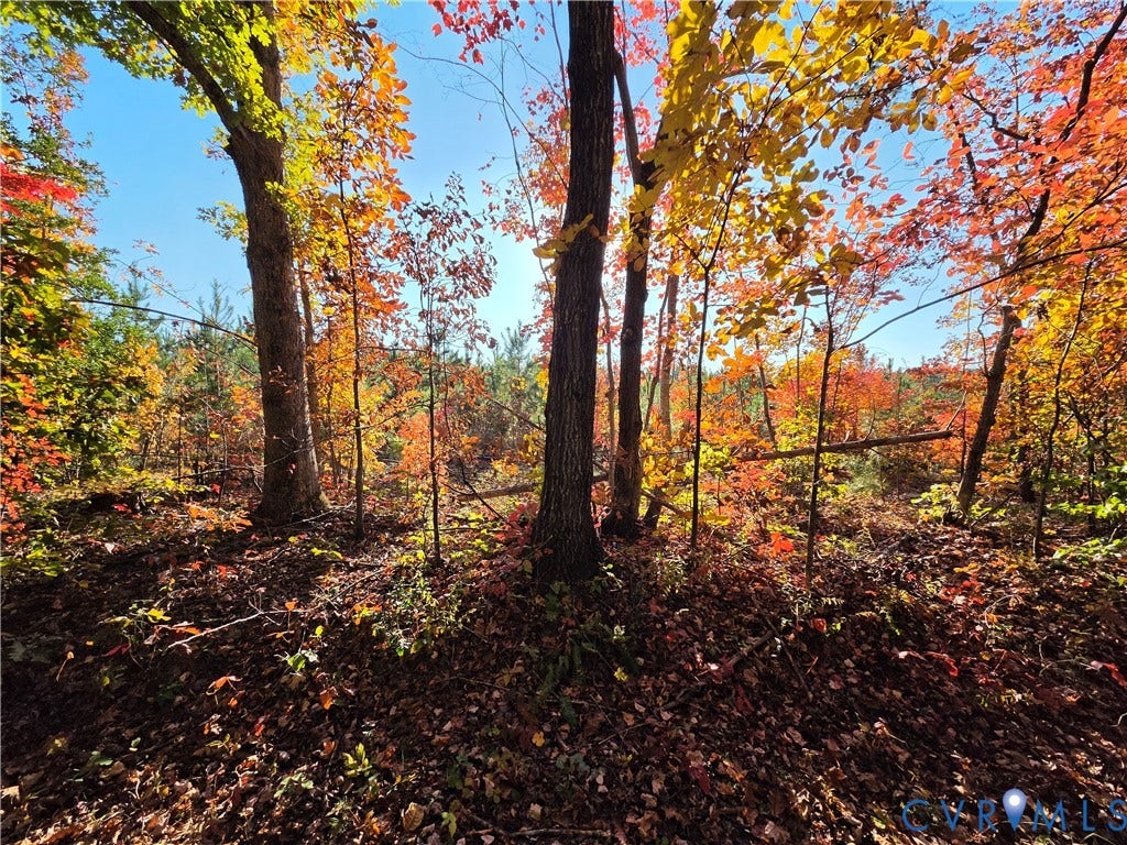 4.05Ac Penlan Road, Arvonia, Arvonia, VA 23004 4.05Ac Penlan Road, Arvonia, Arvonia, VA 23004