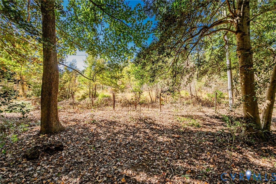 10100 Brittonwood Drive, Chesterfield, VA 23237 Wooded lot featuring mature trees and a post-and-wire perimeter fence
