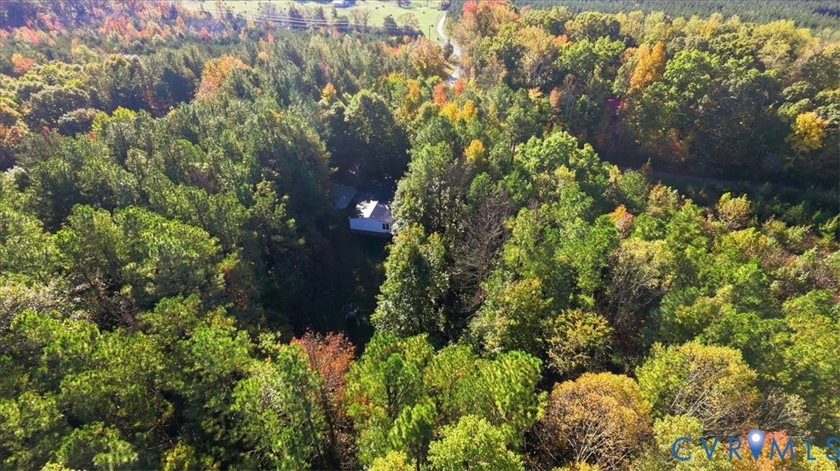 75 Claybank Road, Cumberland, VA 23040 Expansive wooded acreage featuring dense deciduous and coniferous timber