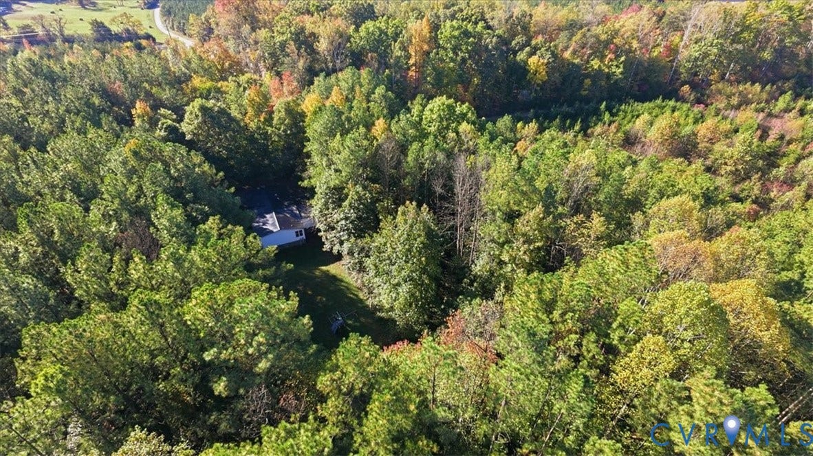 75 Claybank Road, Cumberland, VA 23040 Expansive wooded acreage featuring a cleared homesite surrounded by mature deciduous and coniferous trees