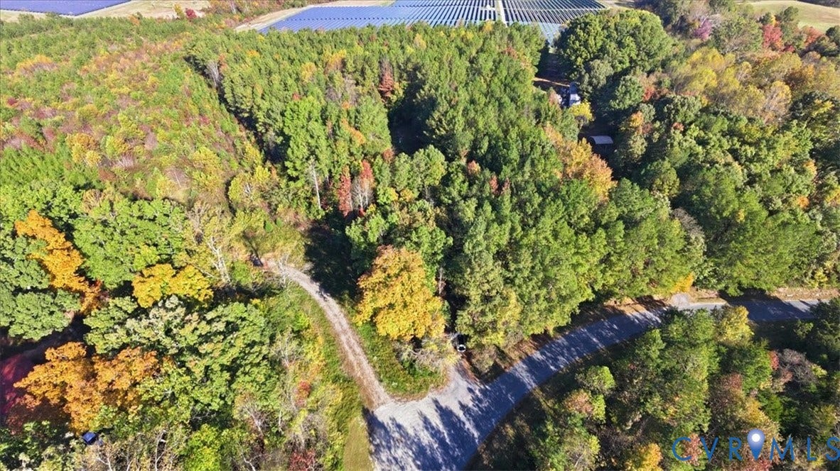 75 Claybank Road, Cumberland, VA 23040 Heavily wooded acreage featuring a cleared gravel driveway and mature trees