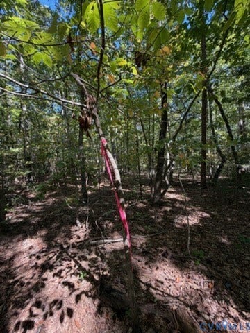 000 Hancock Mill Rd, Mineral, VA 23117 Wooded acreage featuring mature deciduous and coniferous trees