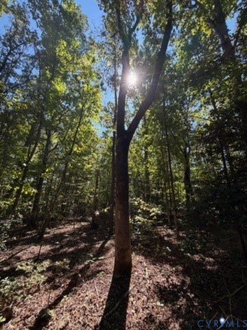 000 Hancock Mill Rd, Mineral, VA 23117 Wooded grounds featuring mature hardwood trees and natural earth flooring