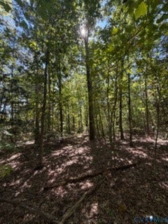 000 Hancock Mill Rd, Mineral, VA 23117 Wooded lot featuring mature hardwood trees and natural terrain