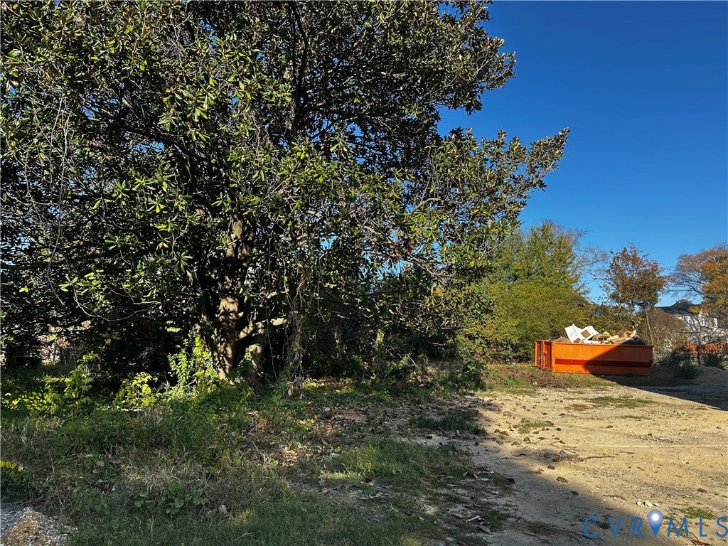 1914 Miller Avenue, Richmond, VA 23222 Expansive lot featuring mature trees and established greenery