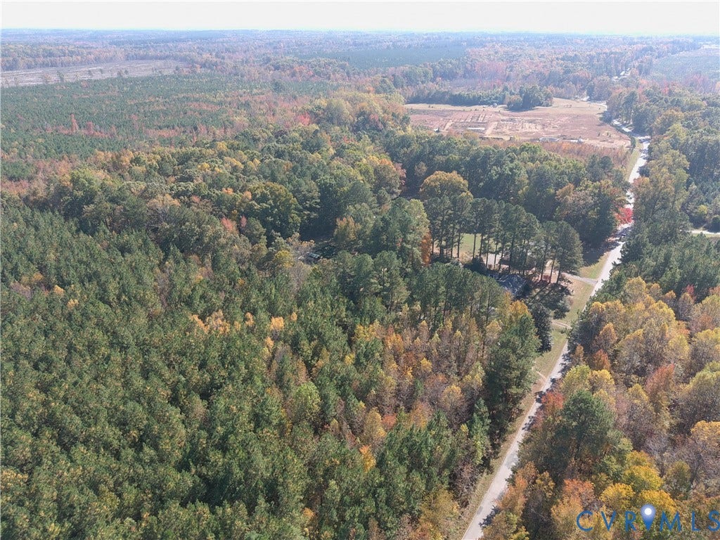 9913 White Oak Church Road, Dinwiddie, VA 23894 Aerial perspective of expansive acreage featuring dense forest cover, mature deciduous trees, and established access road
