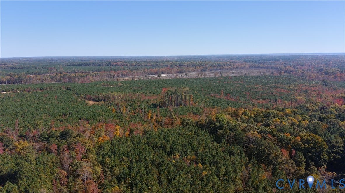 9913 White Oak Church Road, Dinwiddie, VA 23894 Aerial perspective of expansive acreage featuring dense forest cover and diverse deciduous and coniferous vegetation