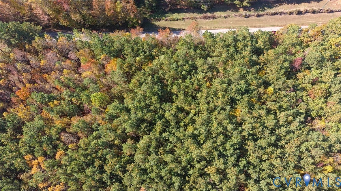 9913 White Oak Church Road, Dinwiddie, VA 23894 Aerial perspective of densely wooded acreage featuring a variety of mature deciduous and evergreen trees