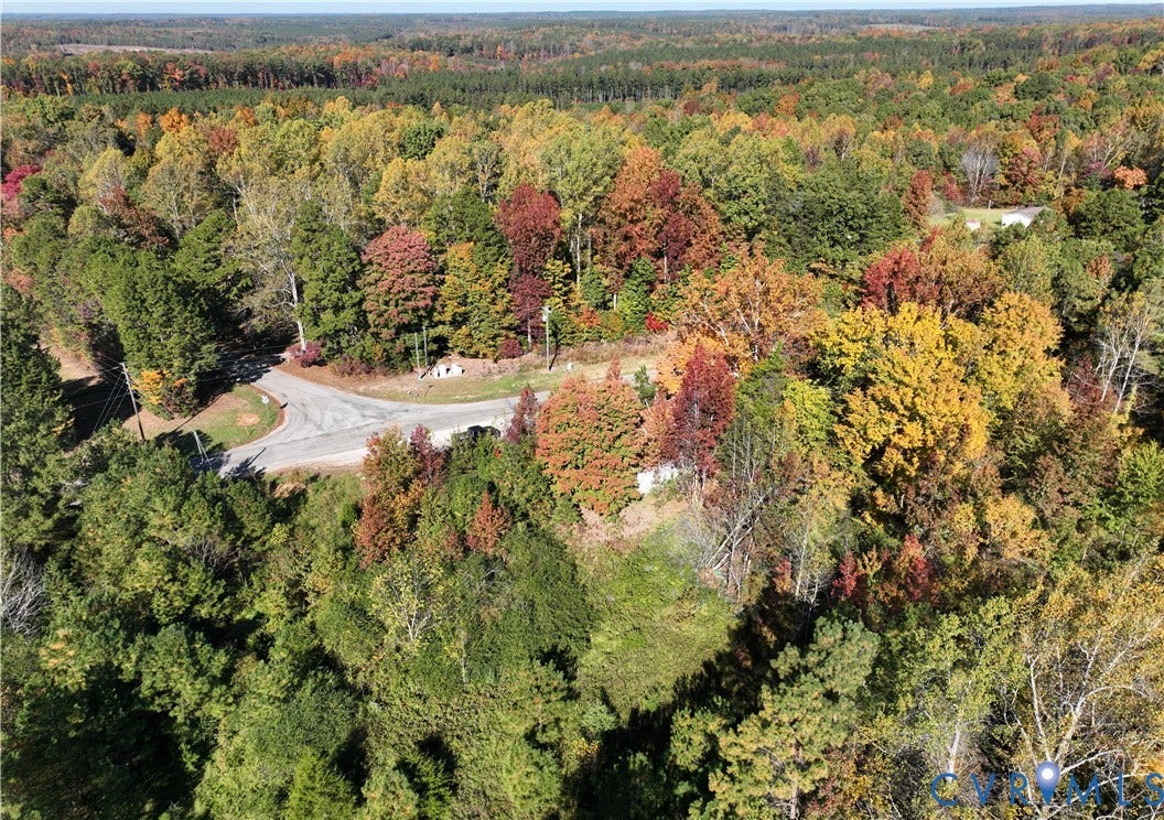 Aerial perspective of expansive acreage featuring dense stands of mature deciduous and evergreen trees, paved roadway access, and natural topography