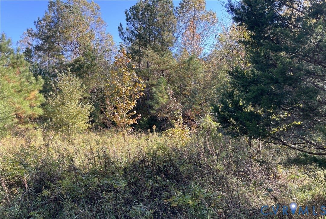 Wooded lot featuring mature pine and deciduous trees with native ground cover