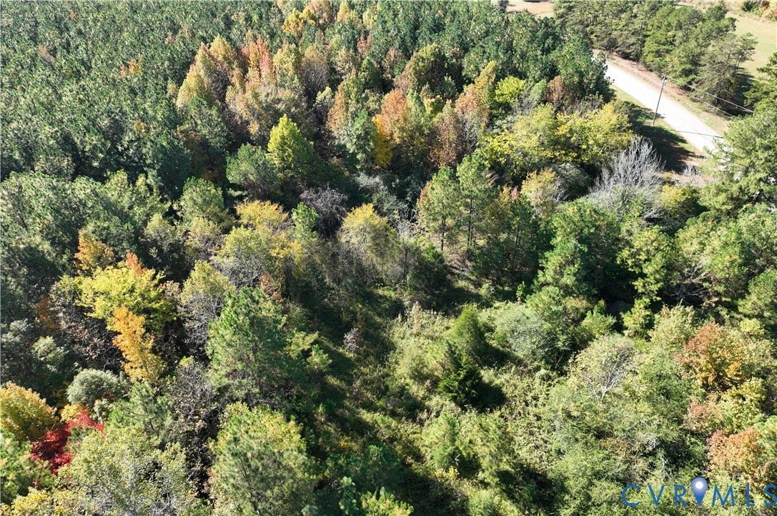 Expansive parcel featuring mature deciduous and coniferous forest canopy