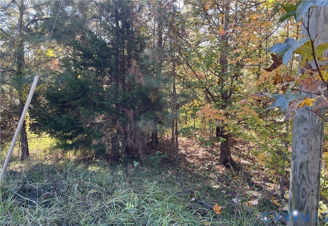 Wooded lot featuring a variety of mature evergreen and deciduous trees