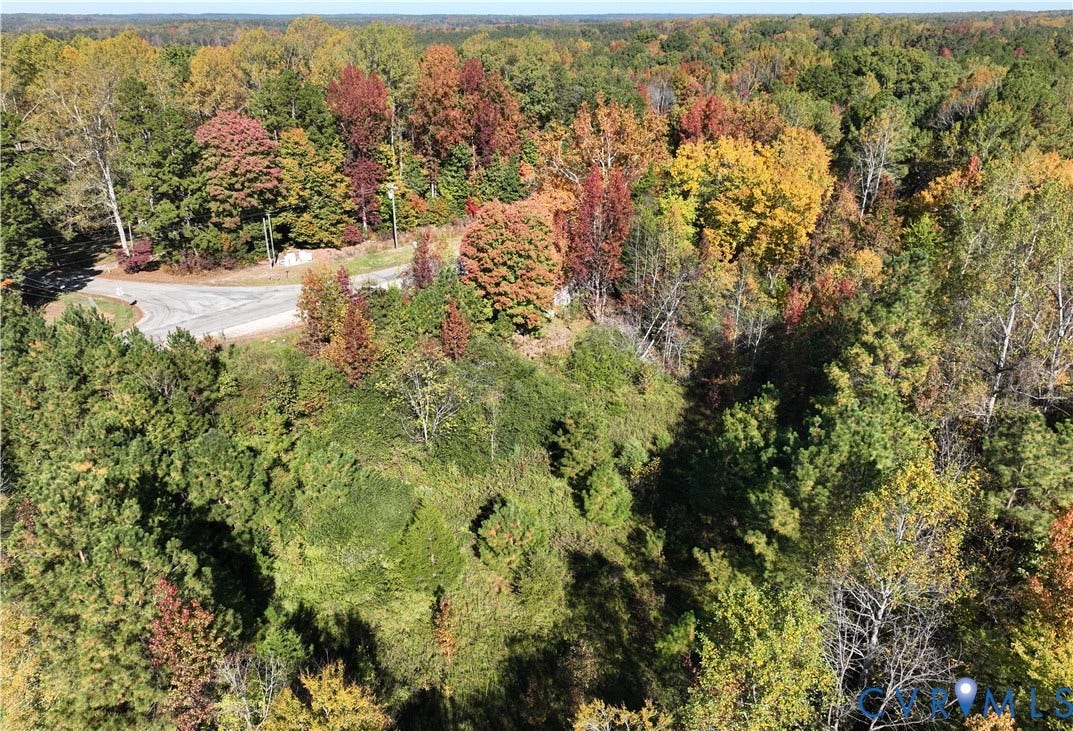 Wooded lot featuring mature deciduous and evergreen trees, topographical variety, and direct asphalt street access