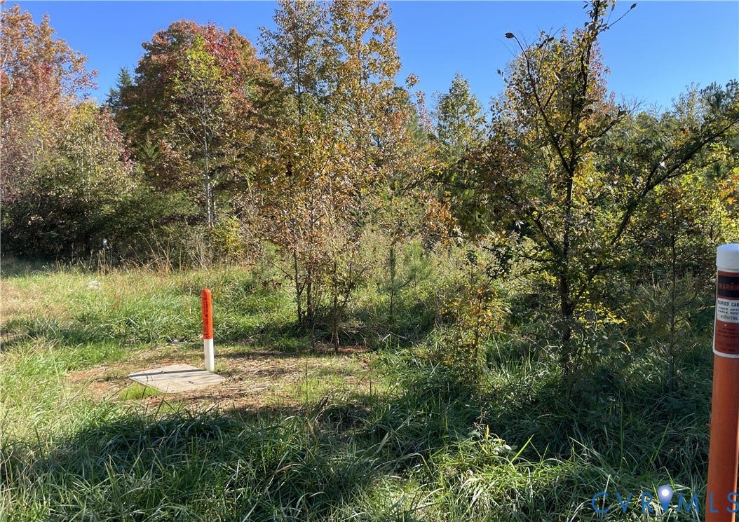 Wooded lot featuring mature trees, natural vegetation, and utility markers