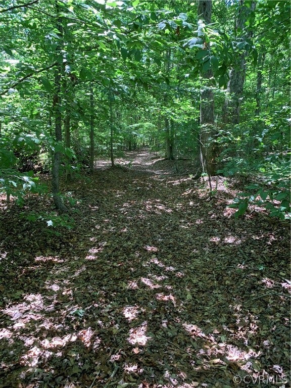 Property photo for Lot 5 Factory Mill Road, Maidens, VA