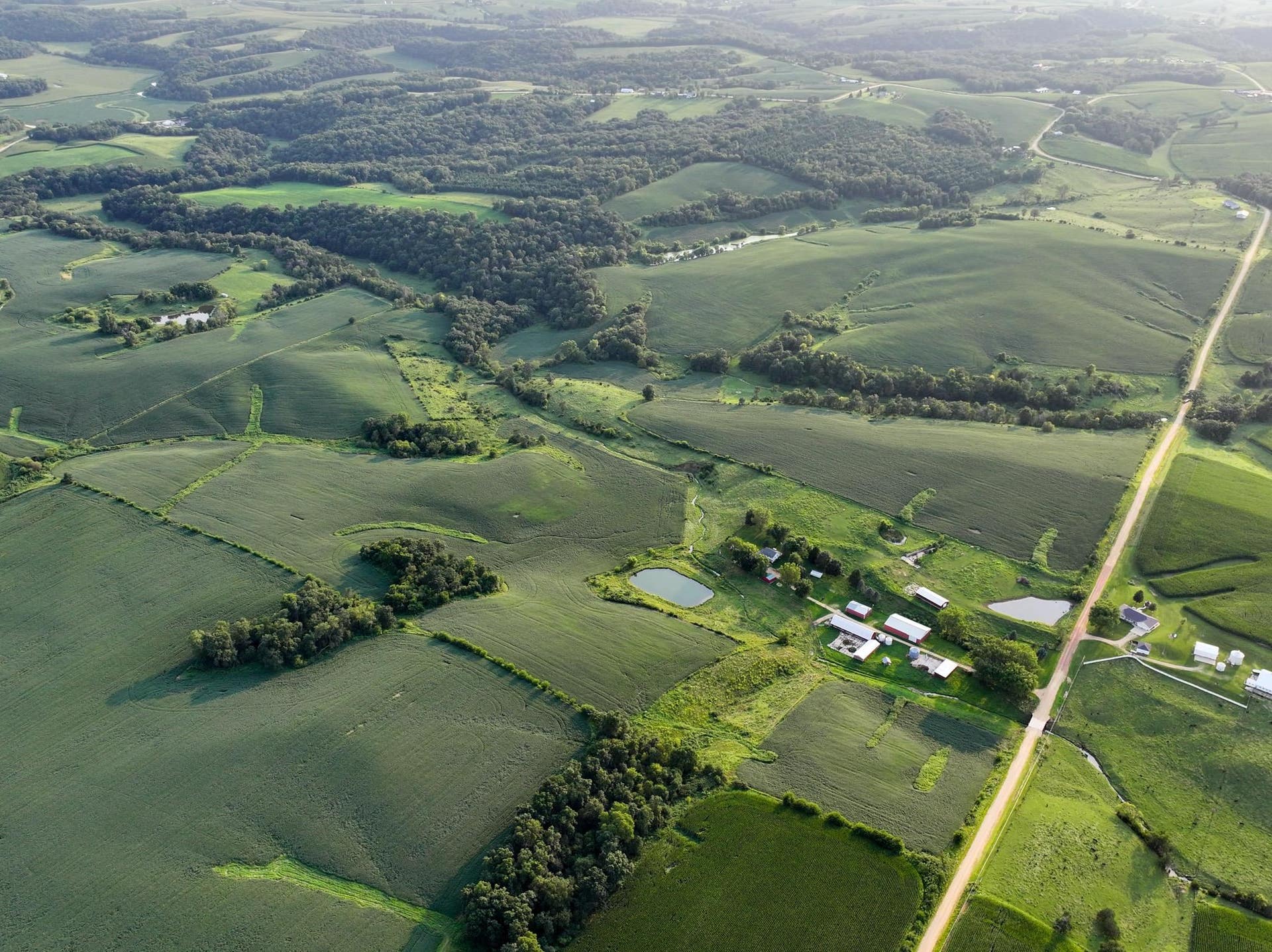 0 275th Avenue, Zwingle, IA 52079 0 275th Avenue, Zwingle, IA 52079