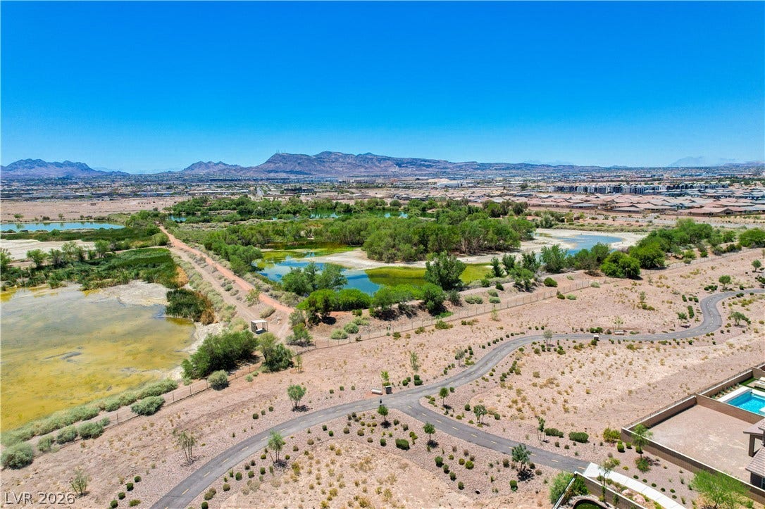 A sweeping aerial perspective reveals a desert landscape transitioning into verdant wetlands under a clear blue sky.