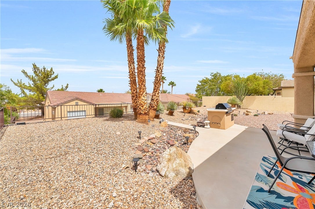 A spacious concrete patio overlooks low-maintenance desert landscaping with towering palm trees.