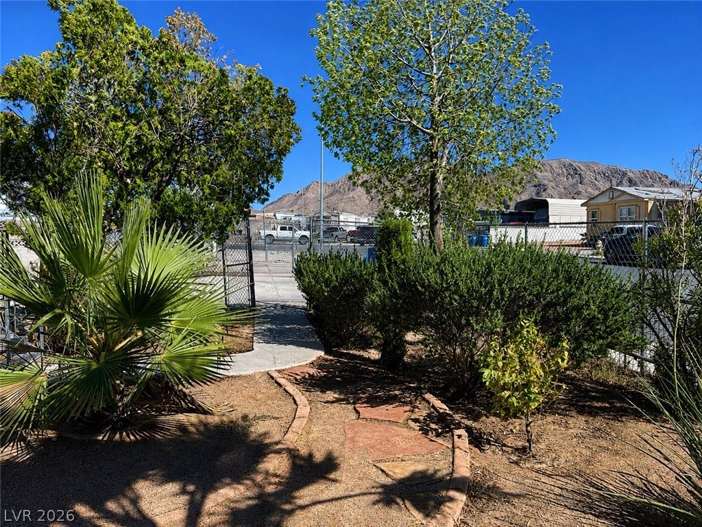 6196 Castlemont Avenue, Las Vegas, NV 89156 Lush plantings frame a charming stone pathway leading through the sunny desert yard.