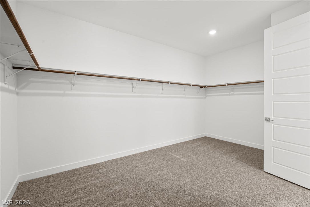 Generous closet space featuring wall-to-wall carpeting and wrap-around storage shelving.
