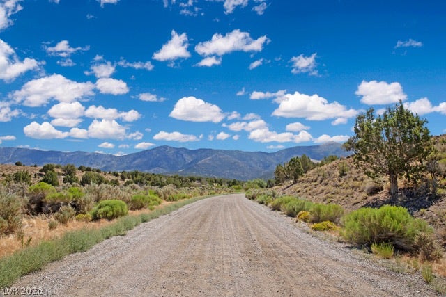 5205 E BIRD CREEK Road, Ely, NV 89301 Unpaved road winding through a desert landscape with majestic mountains on the horizon.
