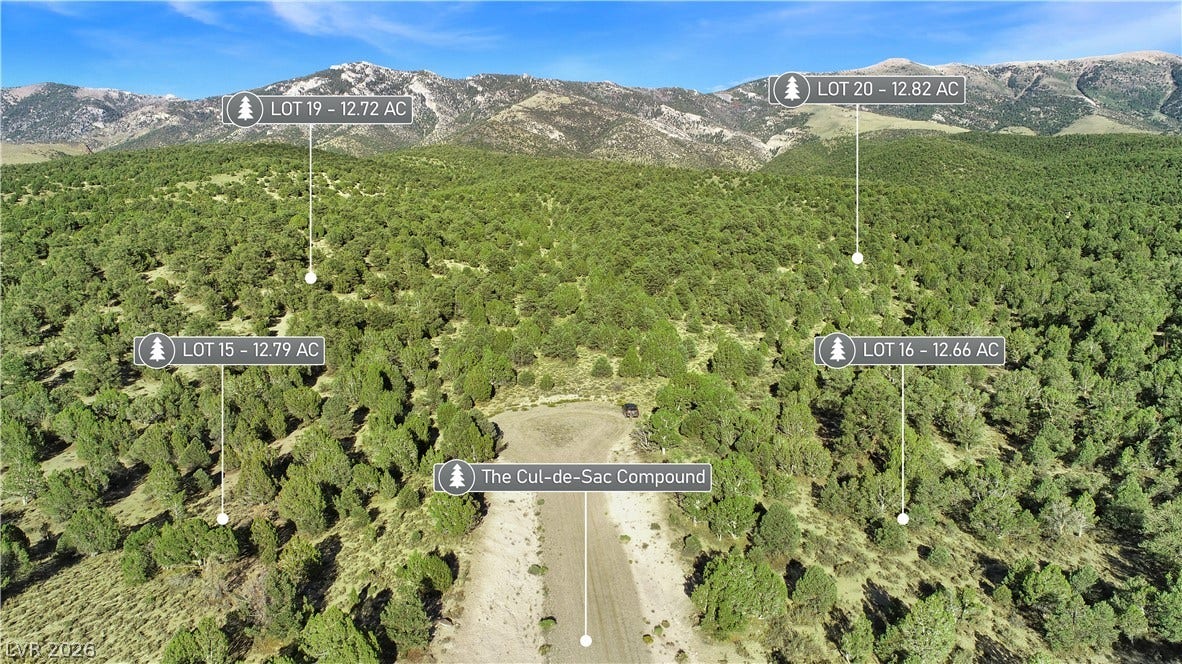 5205 E BIRD CREEK Road, Ely, NV 89301 Vast wooded lots encircle a private cul-de-sac set against a dramatic mountain backdrop.