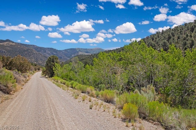 5205 E BIRD CREEK Road, Ely, NV 89301 An unpaved road winds through high-desert vegetation toward majestic mountain backdrops.