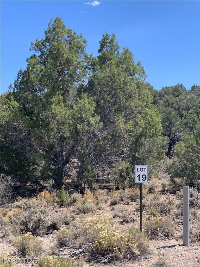 5205 E BIRD CREEK Road, Ely, NV 89301 Mature trees and native vegetation frame this buildable parcel under clear blue skies.